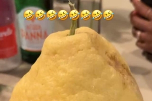 略顯驚訝！詹姆斯曬旅行途中遇到巨型檸檬：什么鬼？！配圖